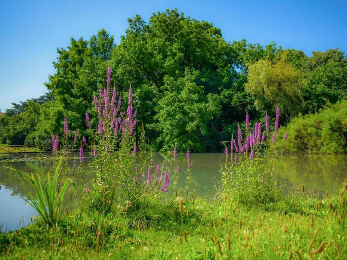 Casa Paradiso: Un'Oasi Di Relax Cinisello Balsamo Buitenkant foto